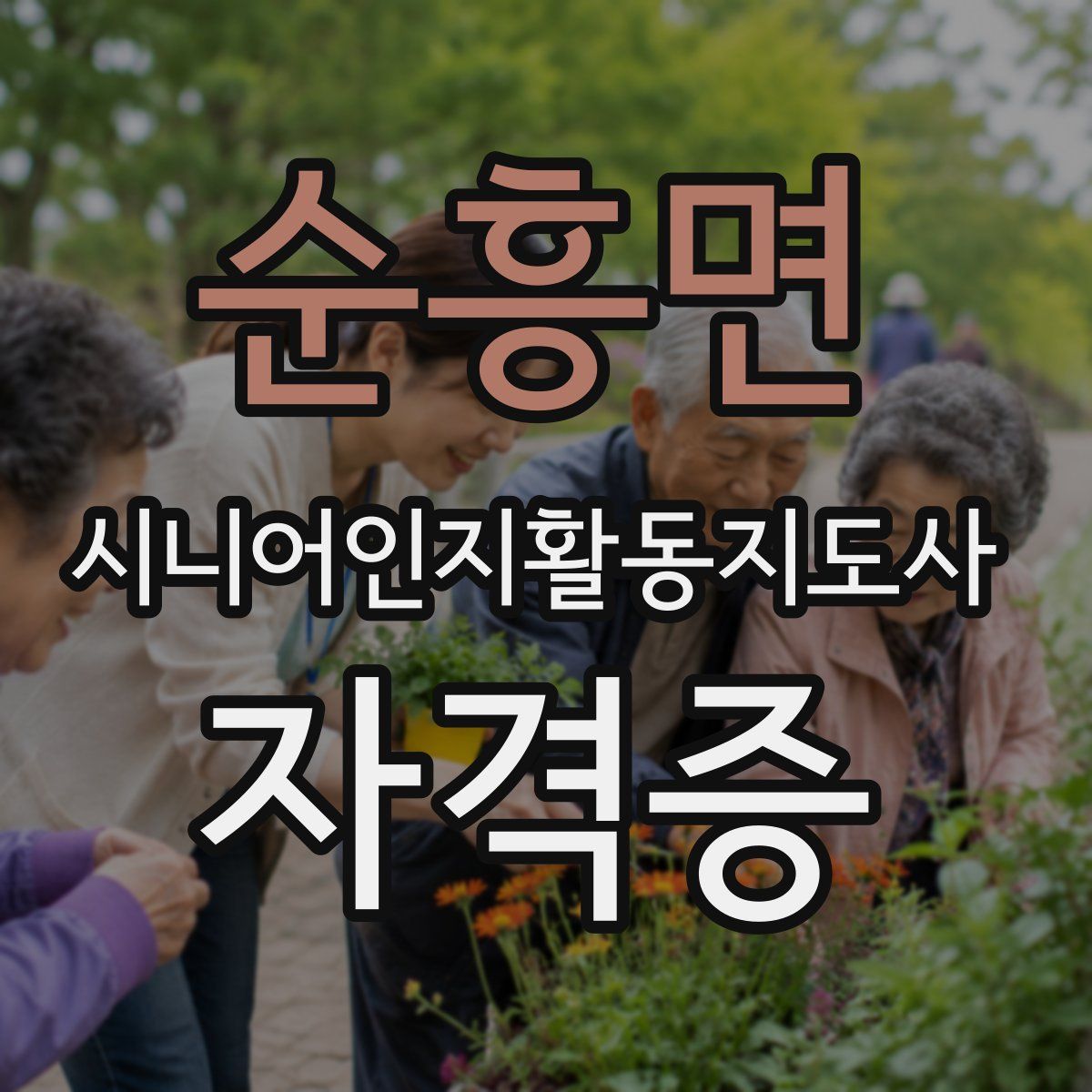 순흥면 시니어인지활동지도사 자격증