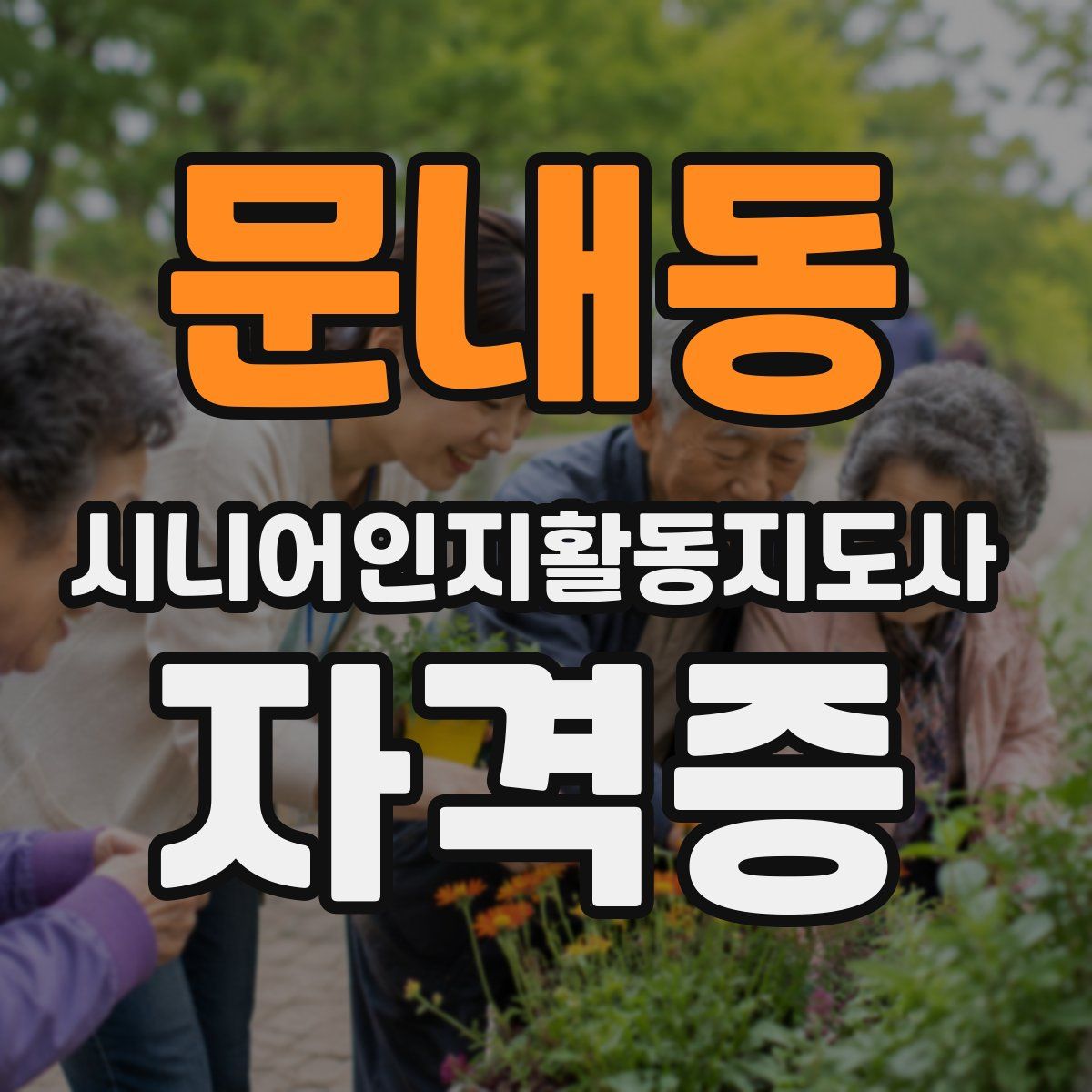 문내동 시니어인지활동지도사 자격증