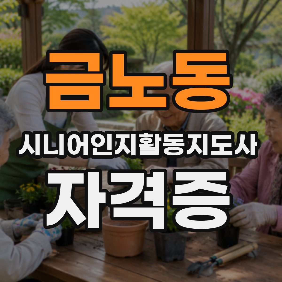 금노동 시니어인지활동지도사 자격증