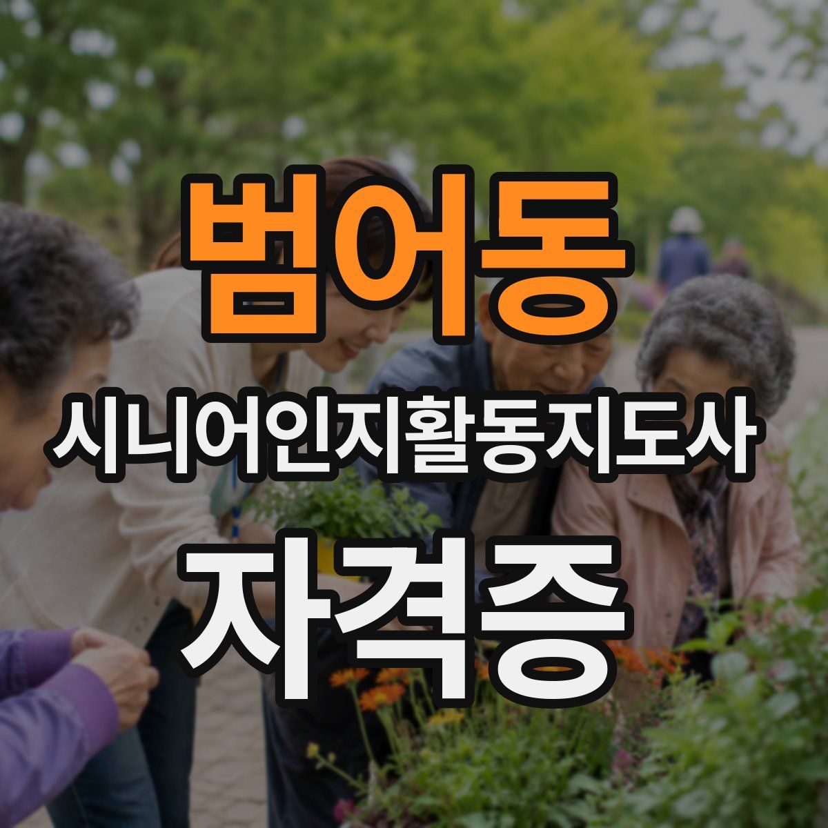 범어동 시니어인지활동지도사 자격증