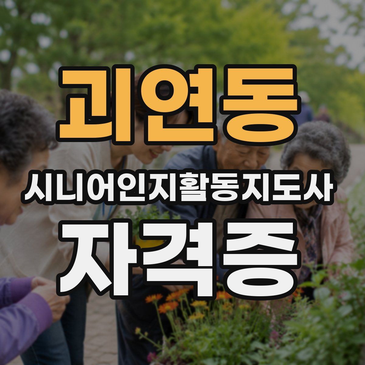 괴연동 시니어인지활동지도사 자격증