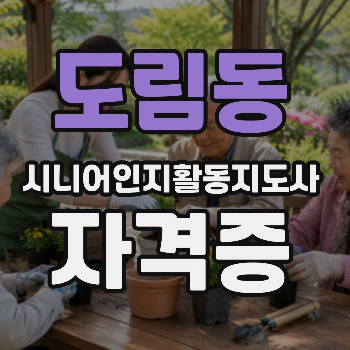 도림동 시니어인지활동지도사 자격증