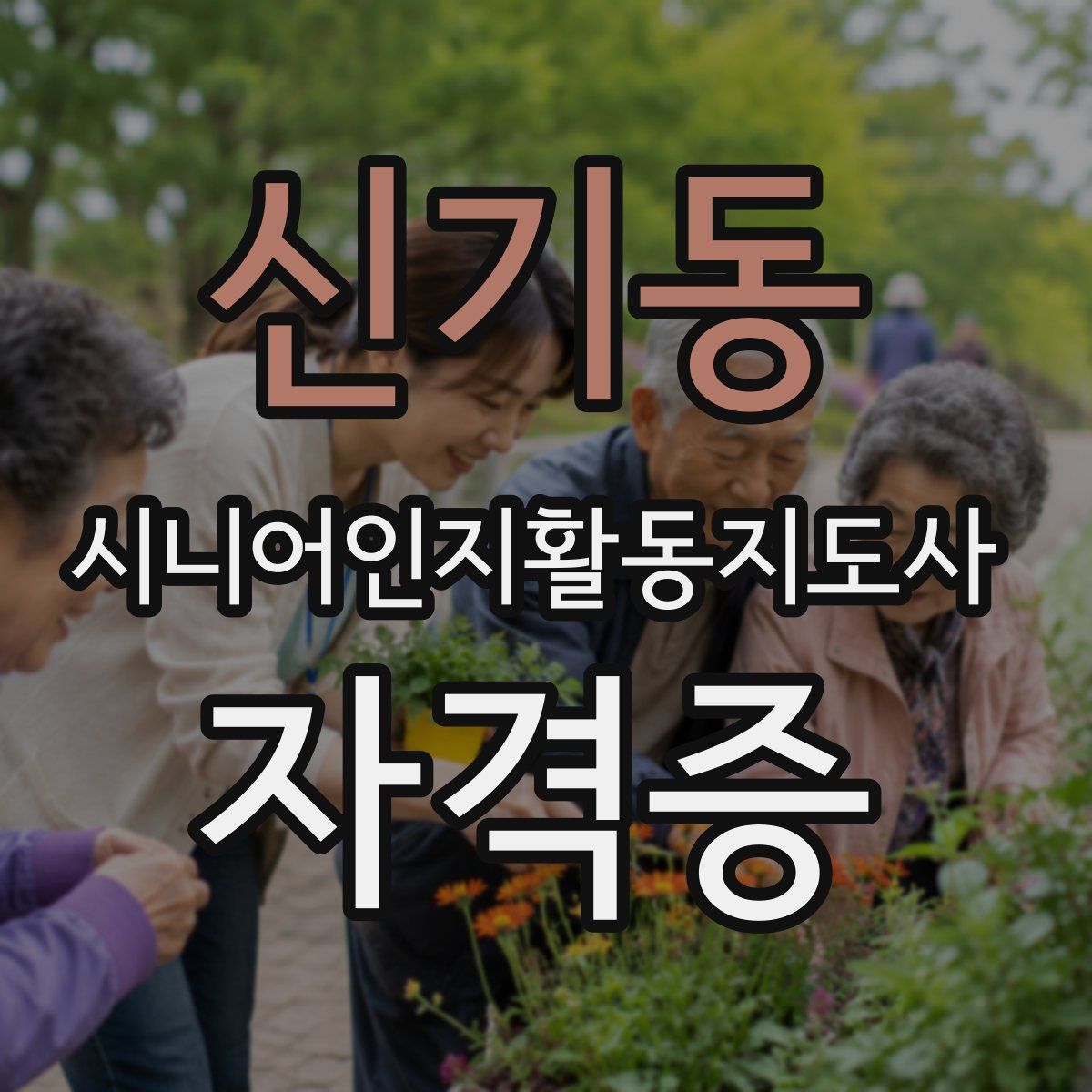 신기동 시니어인지활동지도사 자격증