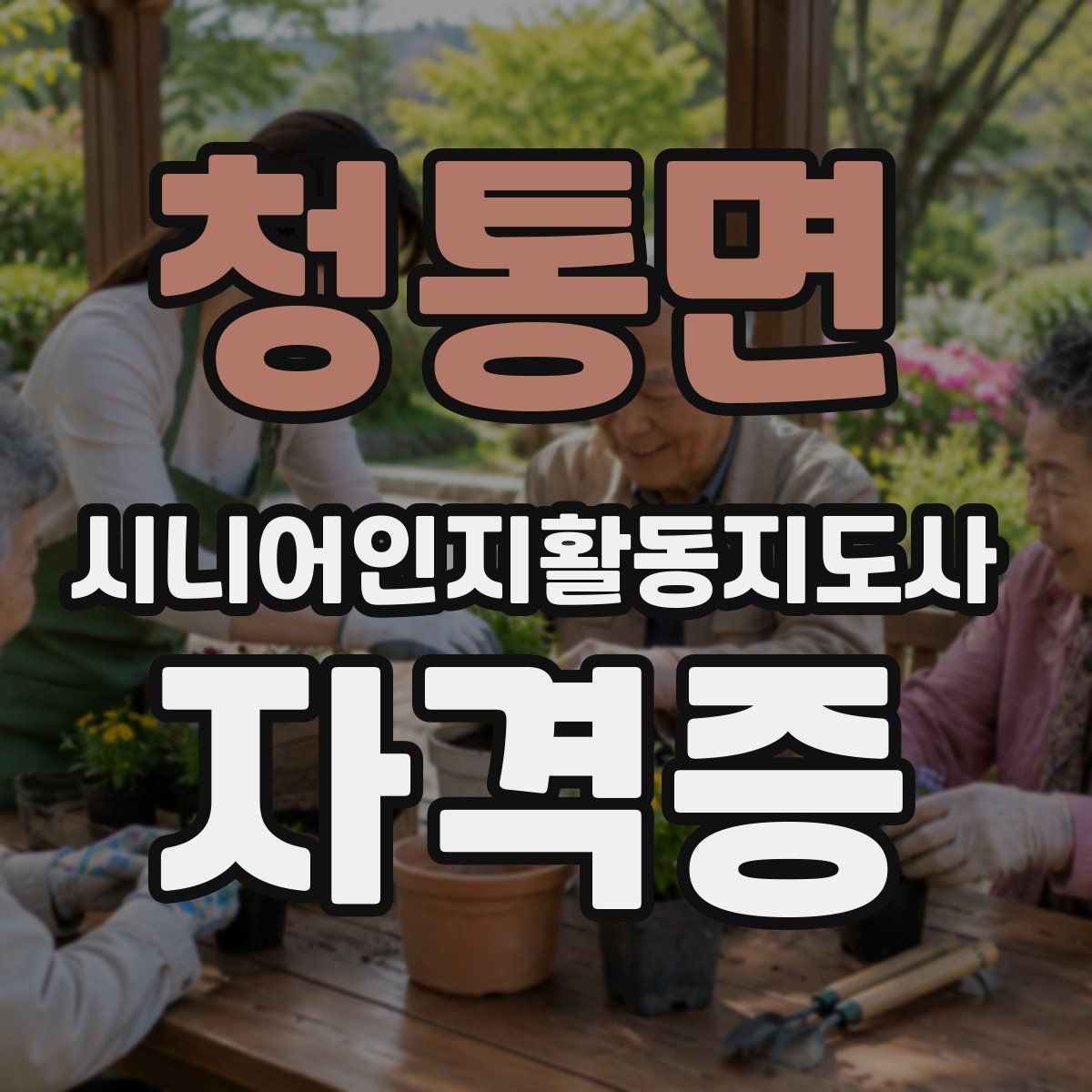 청통면 시니어인지활동지도사 자격증