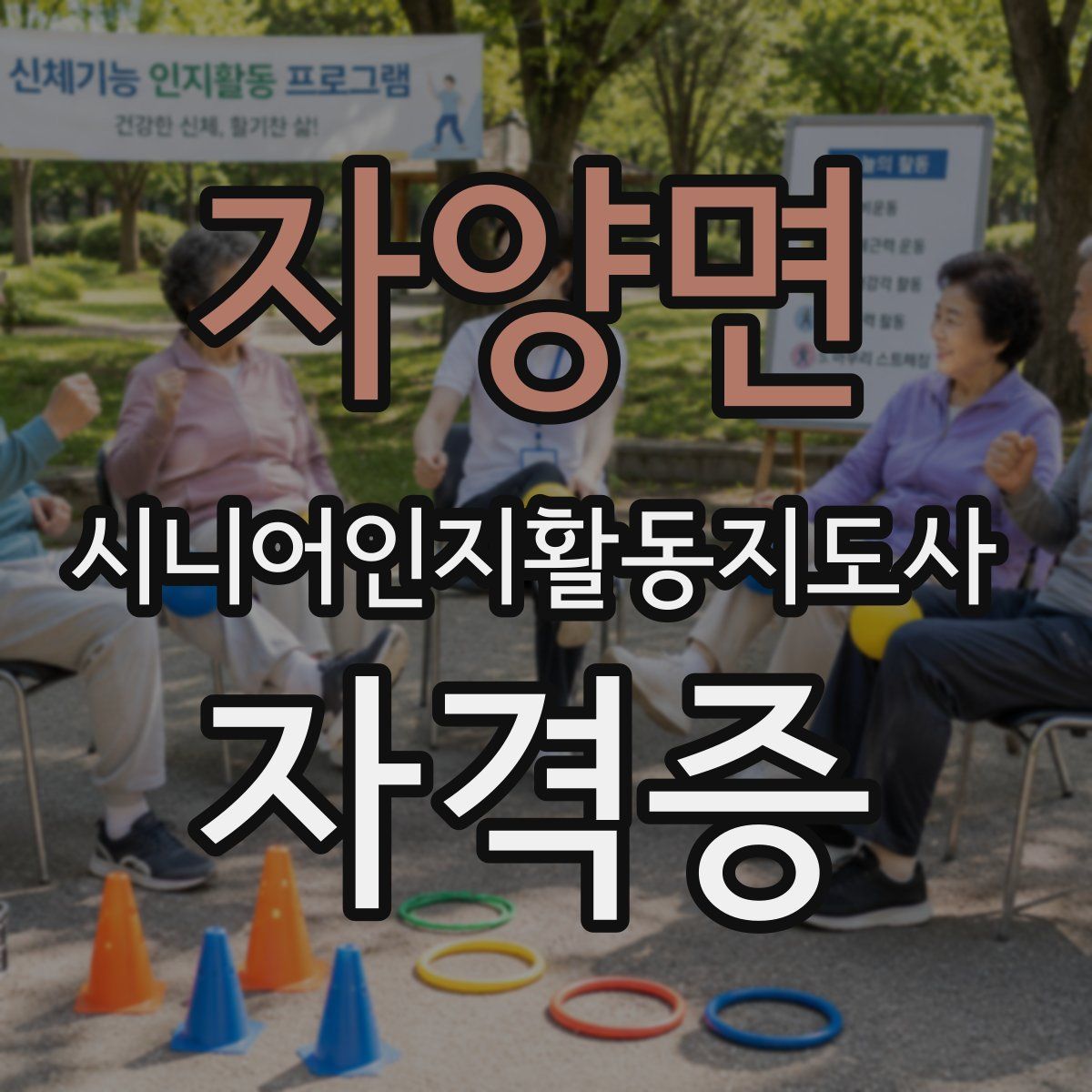 자양면 시니어인지활동지도사 자격증