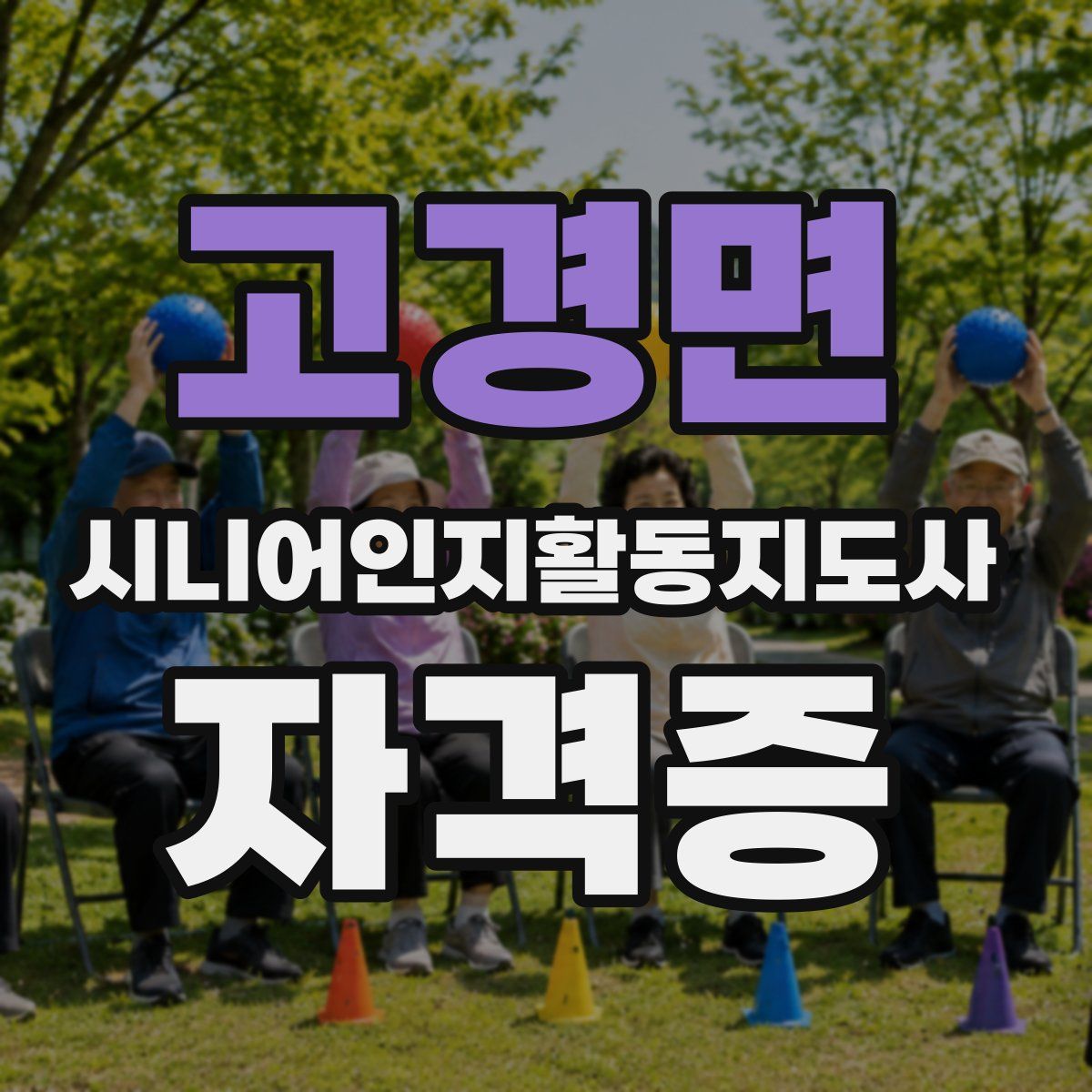 고경면 시니어인지활동지도사 자격증