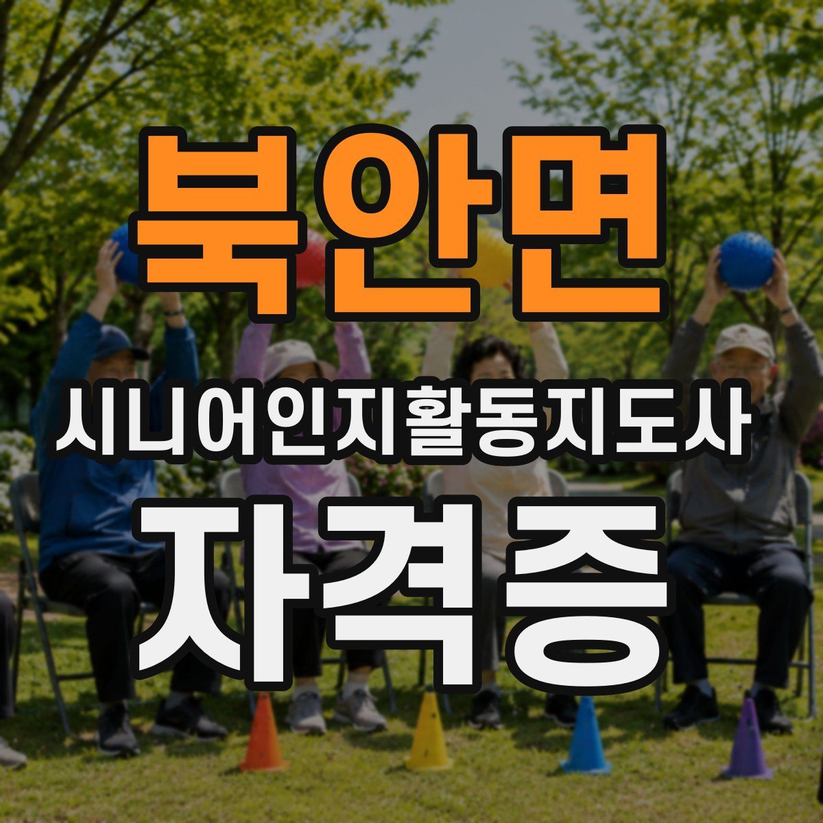 북안면 시니어인지활동지도사 자격증