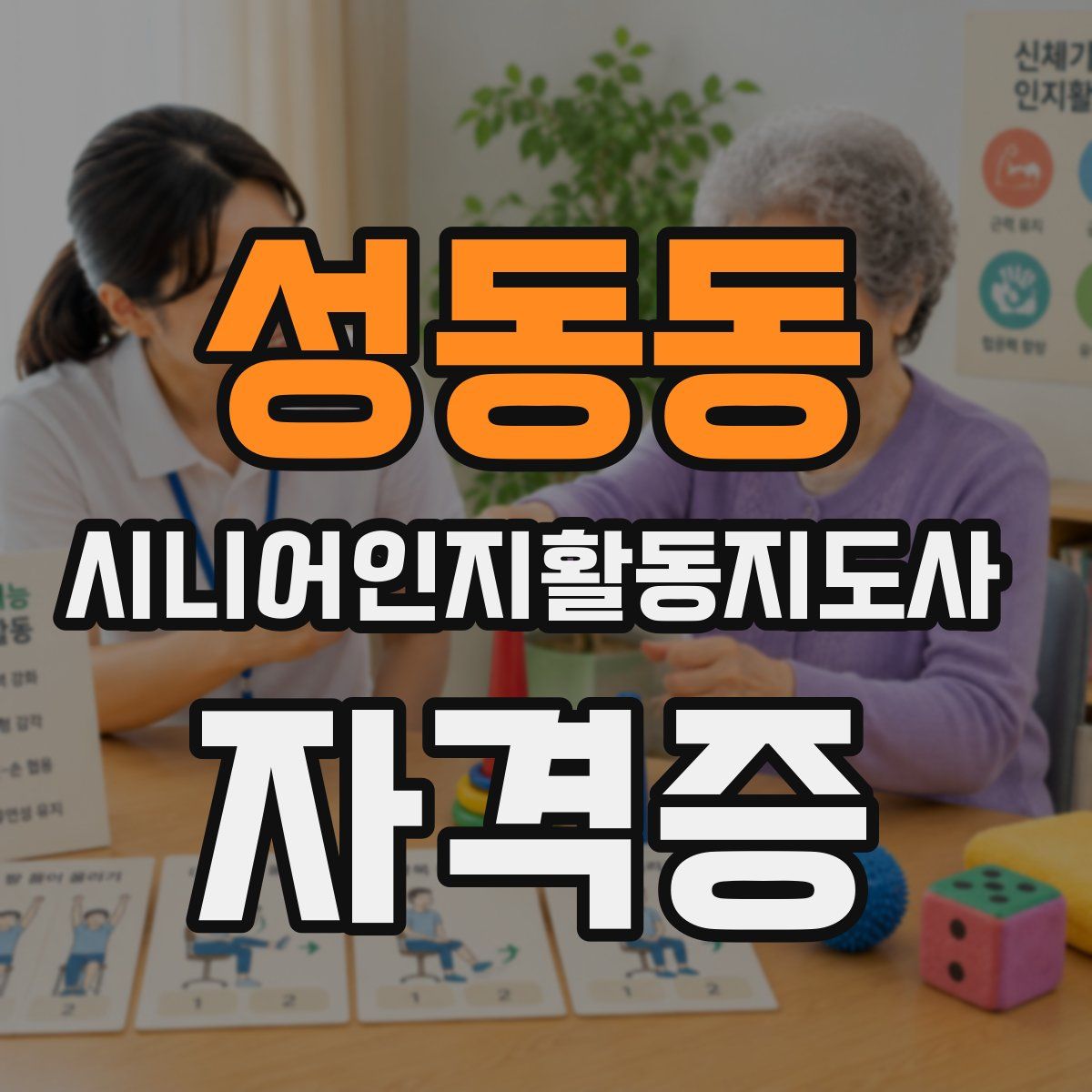 성동동 시니어인지활동지도사 자격증