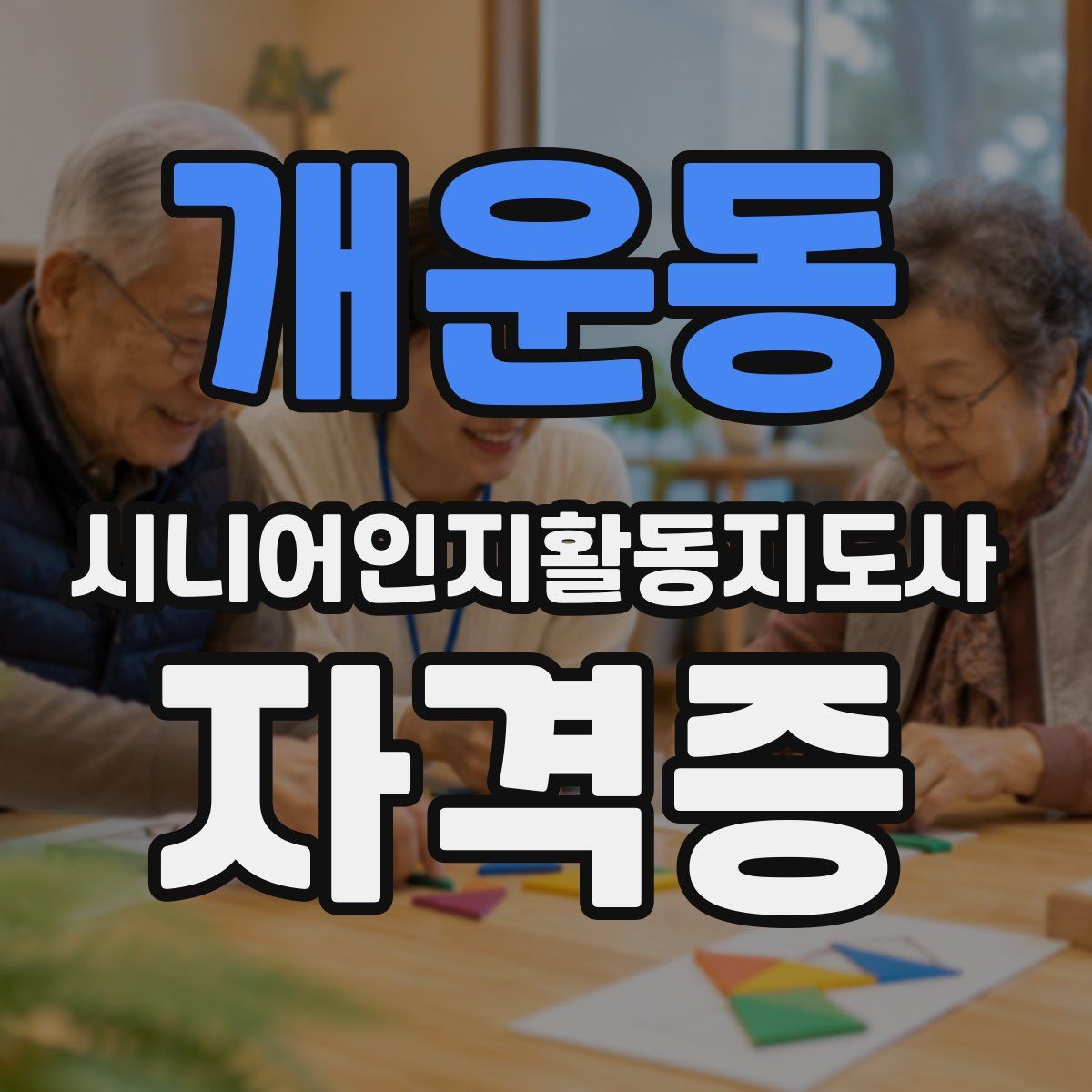 개운동 시니어인지활동지도사 자격증