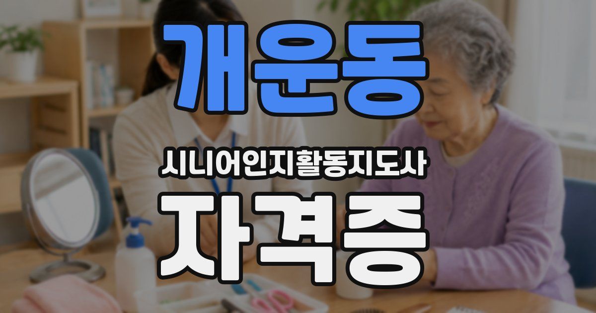 개운동 시니어인지활동지도사 자격증