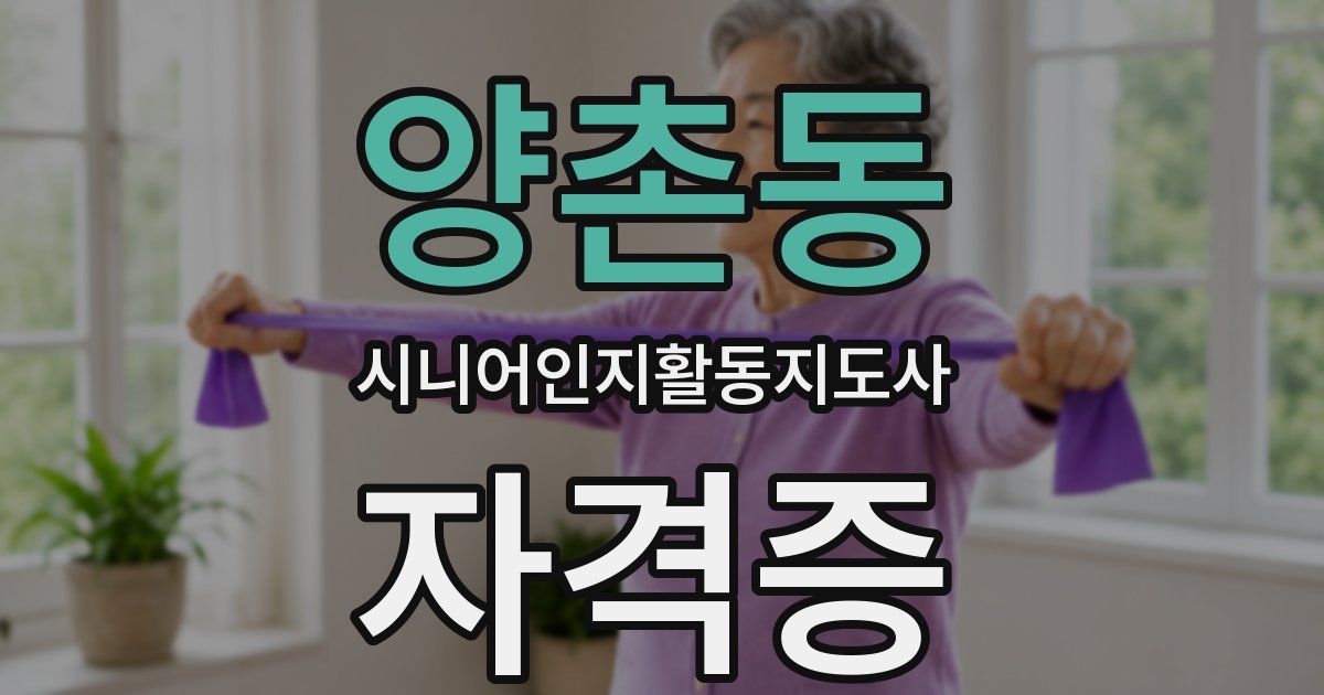 양촌동 시니어인지활동지도사 자격증