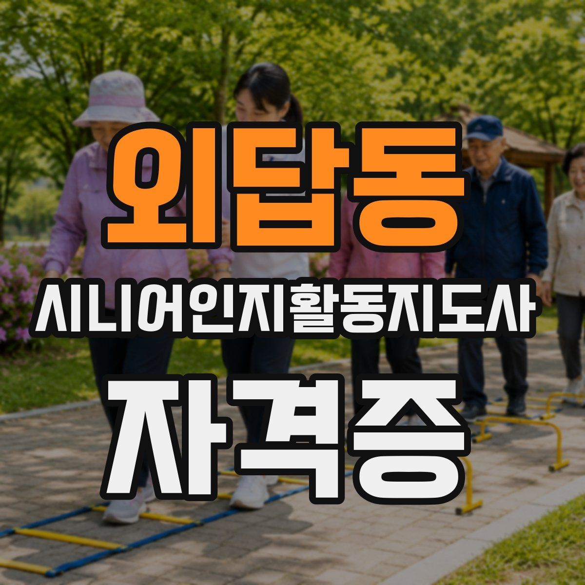 외답동 시니어인지활동지도사 자격증