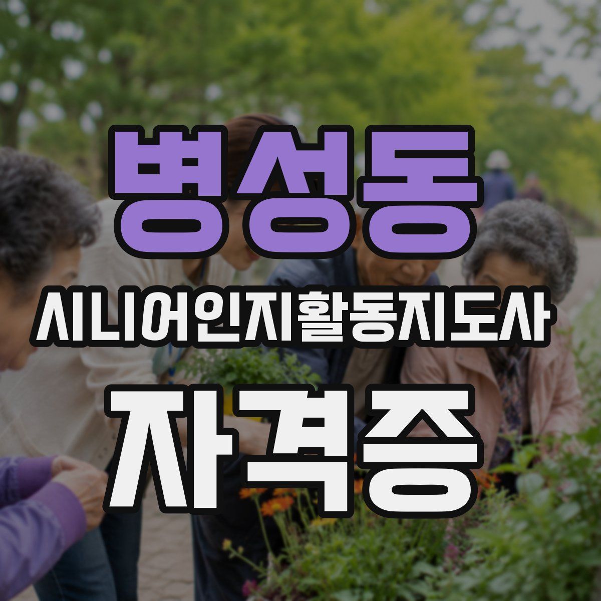 병성동 시니어인지활동지도사 자격증