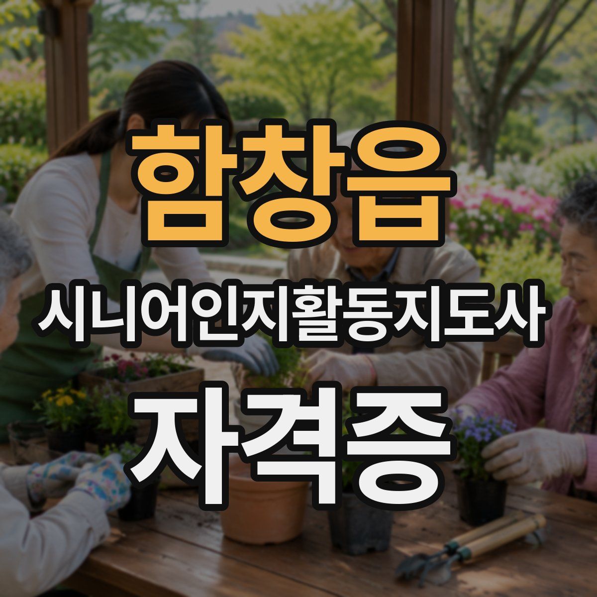 함창읍 시니어인지활동지도사 자격증