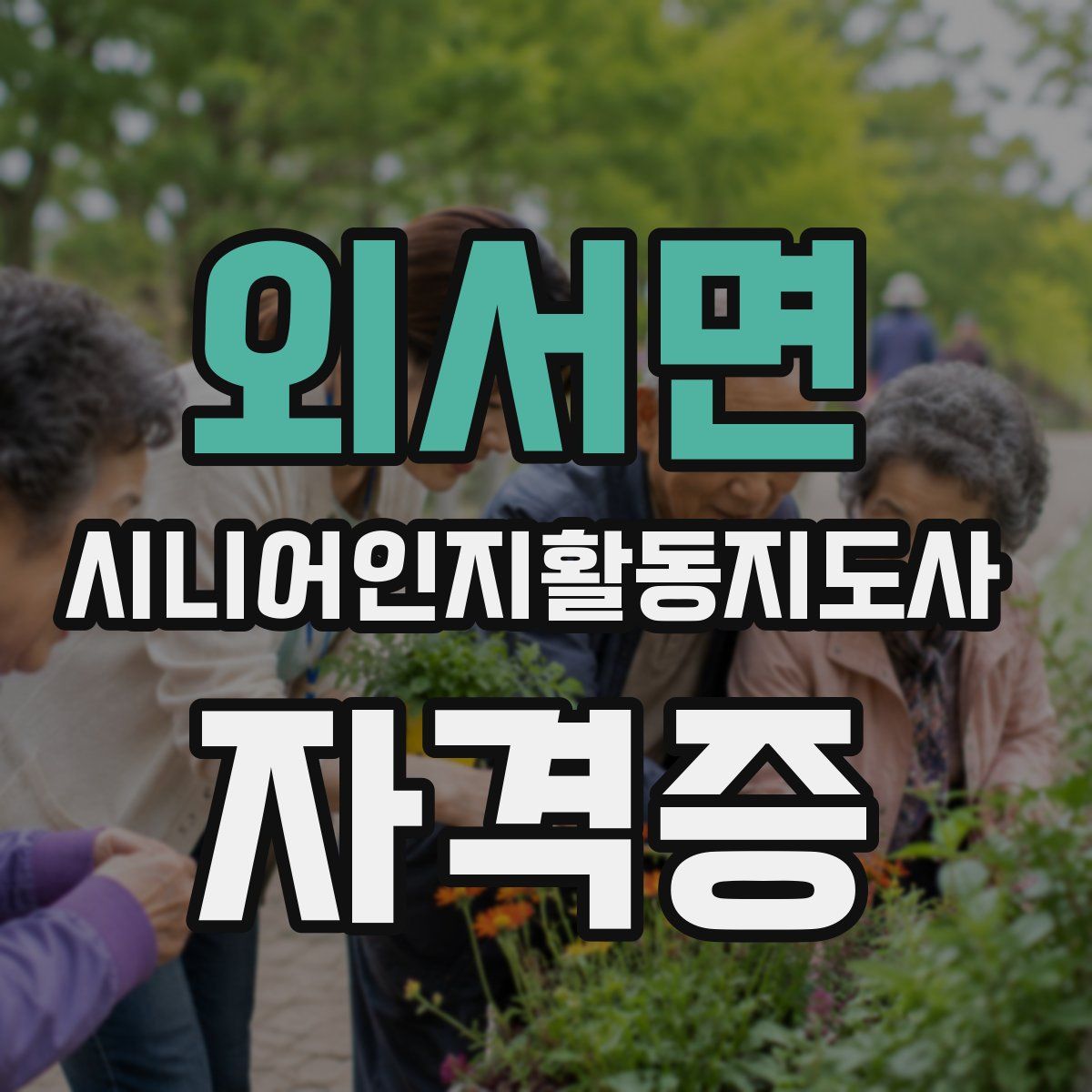 외서면 시니어인지활동지도사 자격증