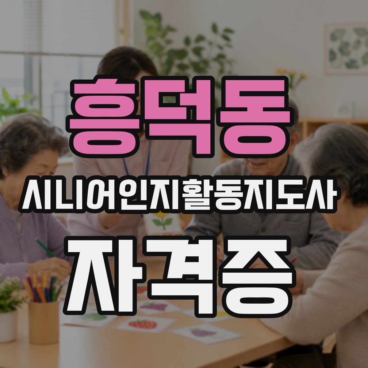 흥덕동 시니어인지활동지도사 자격증