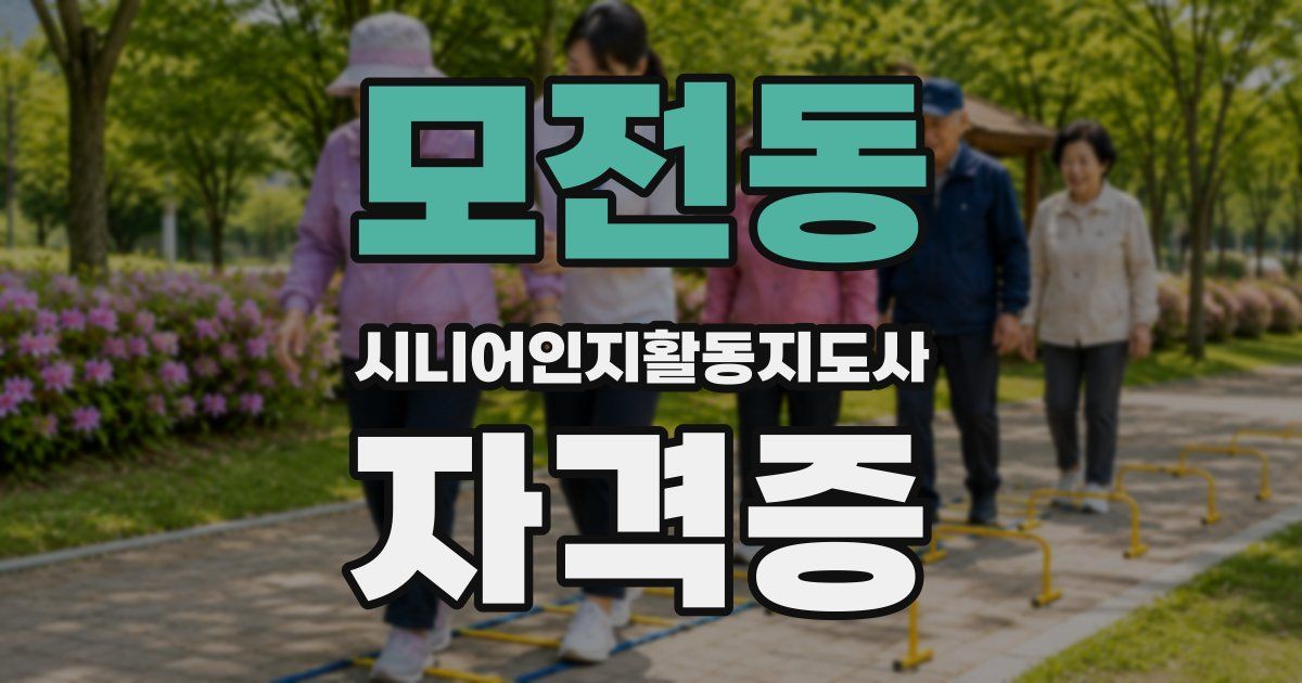 모전동 시니어인지활동지도사 자격증