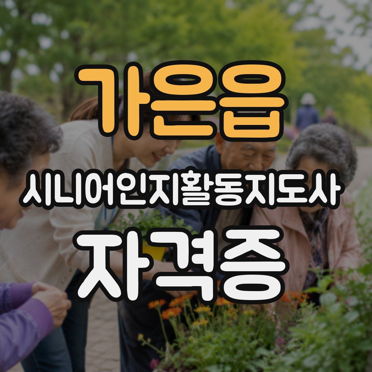 가은읍 시니어인지활동지도사 자격증