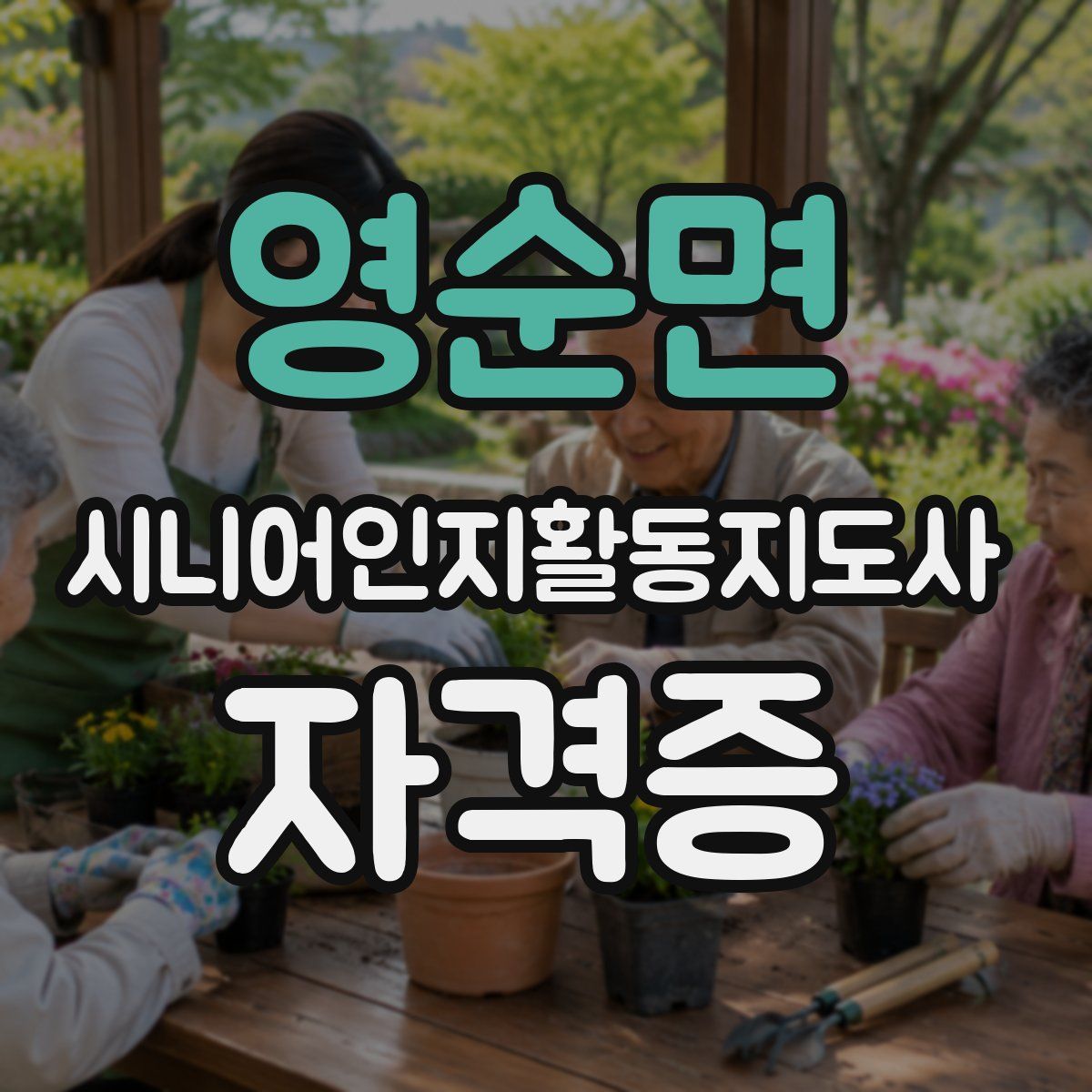 영순면 시니어인지활동지도사 자격증