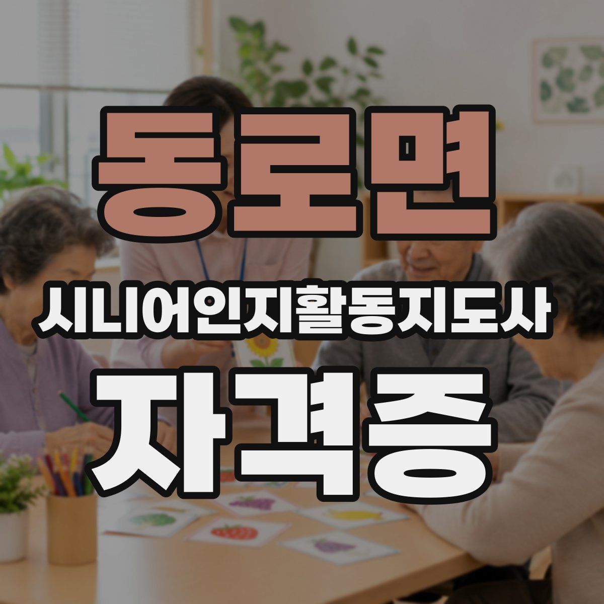 동로면 시니어인지활동지도사 자격증