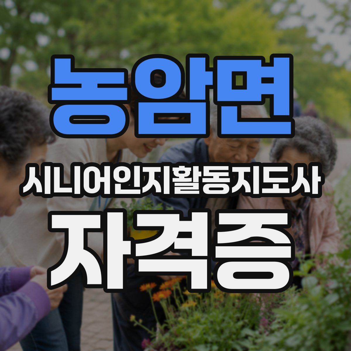 농암면 시니어인지활동지도사 자격증