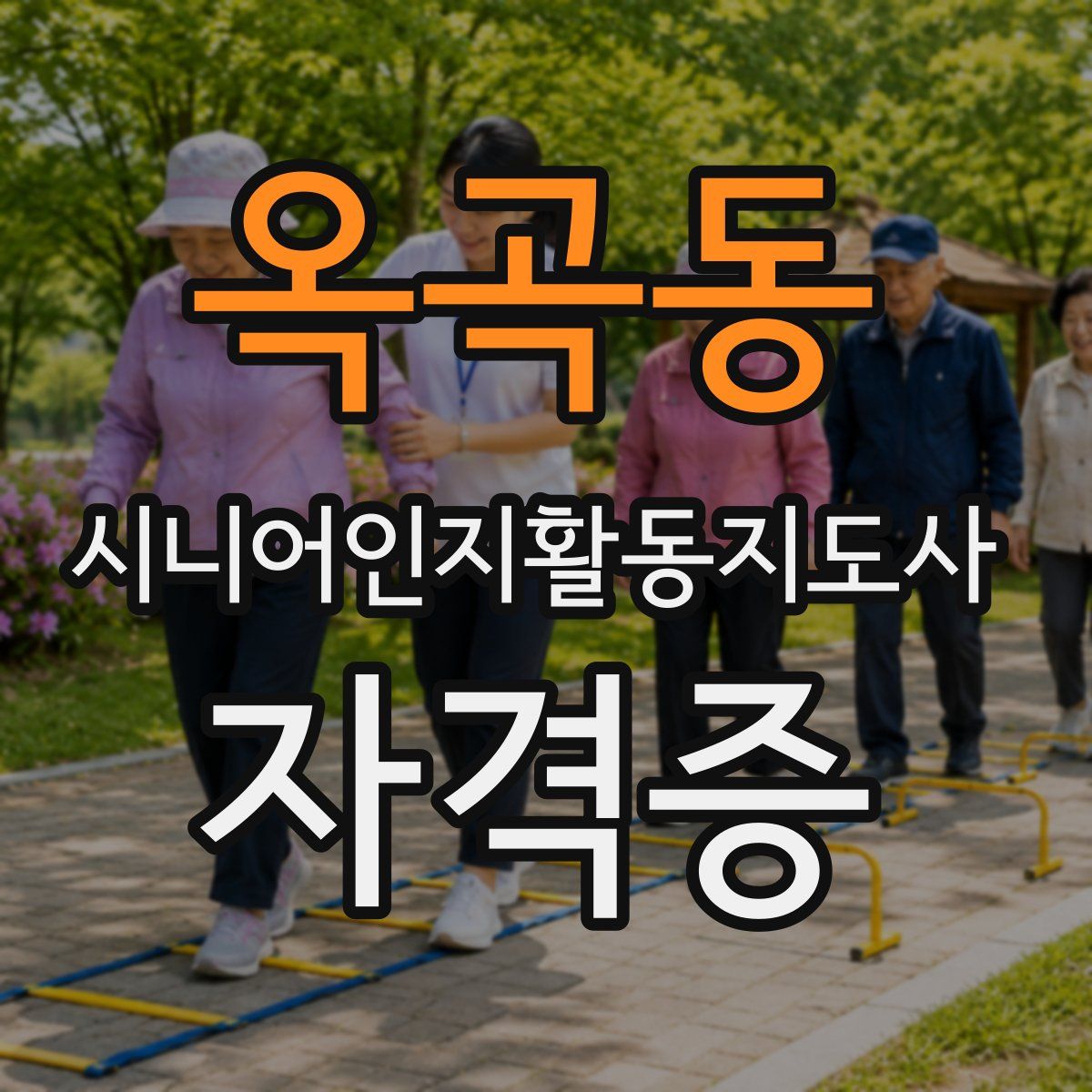 옥곡동 시니어인지활동지도사 자격증