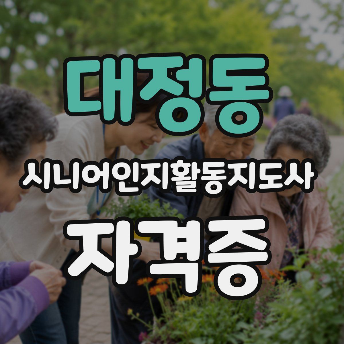 대정동 시니어인지활동지도사 자격증