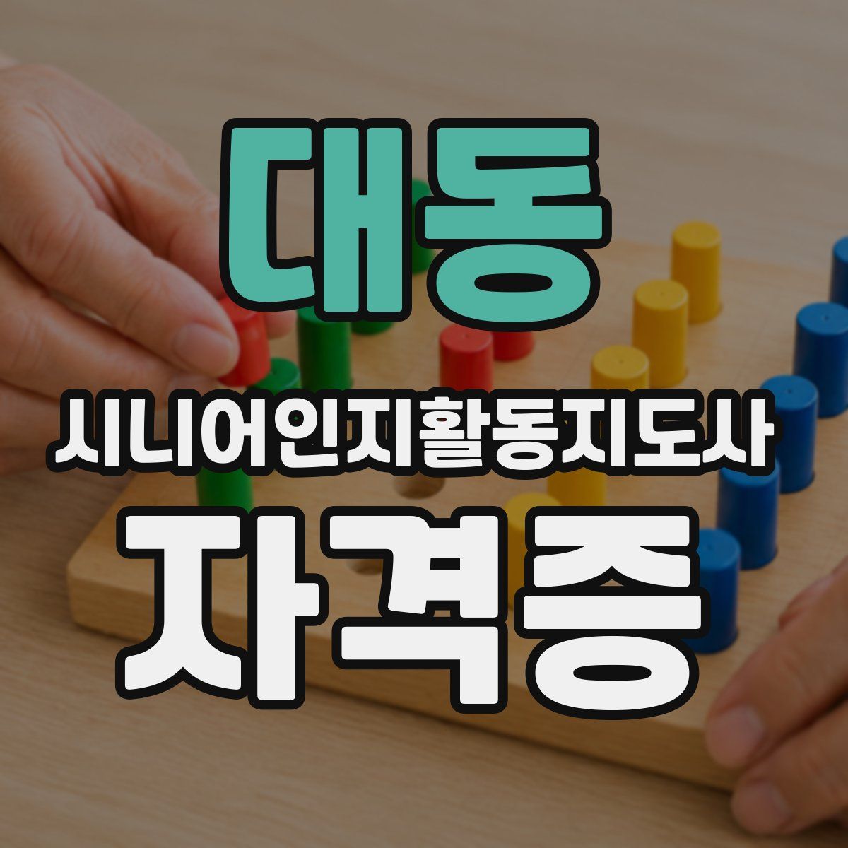 대동 시니어인지활동지도사 자격증