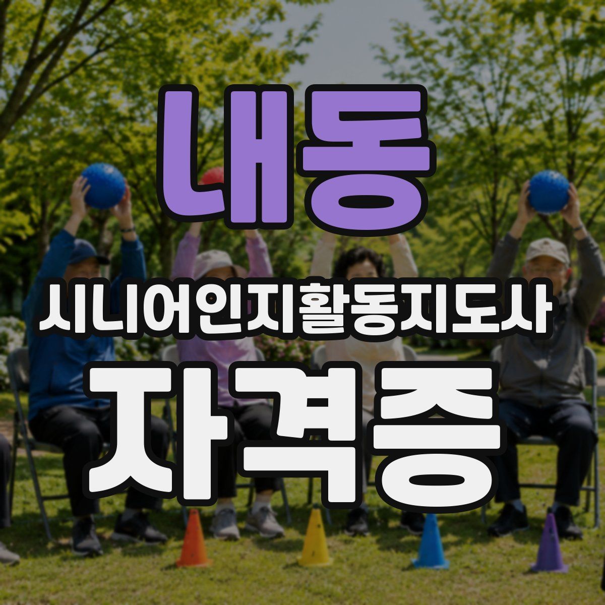 내동 시니어인지활동지도사 자격증