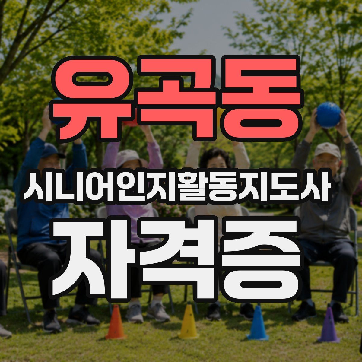 유곡동 시니어인지활동지도사 자격증