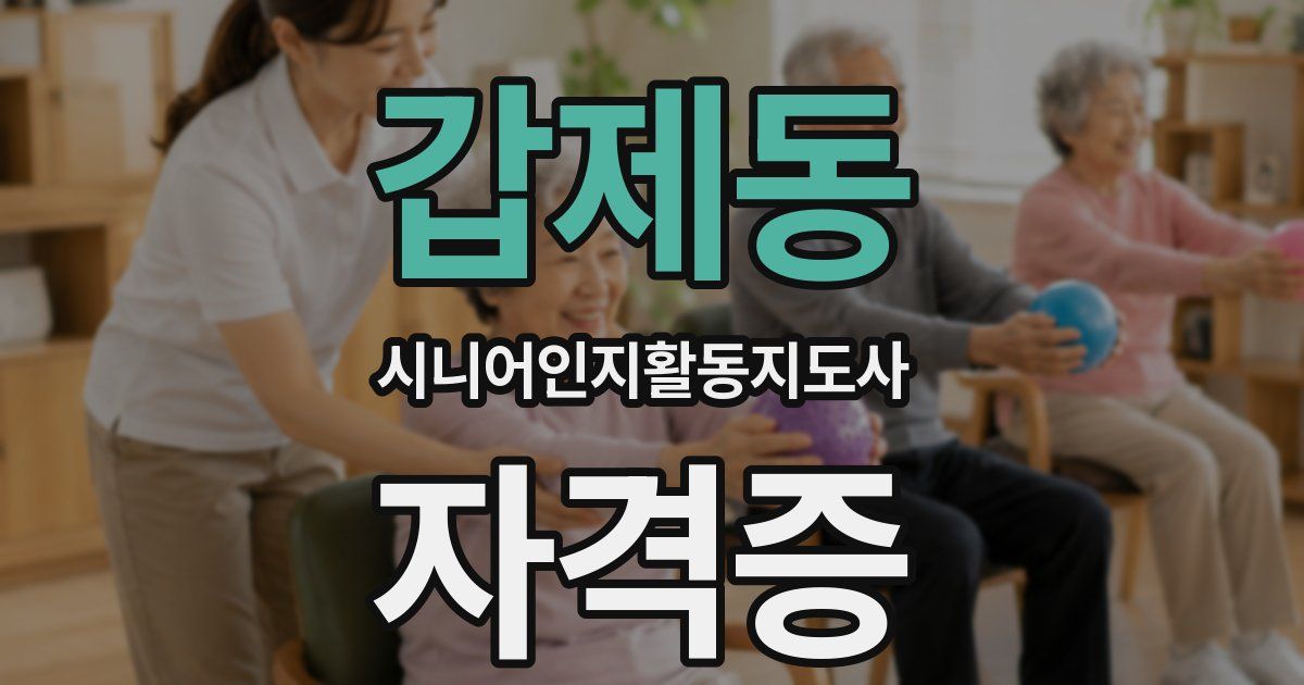 갑제동 시니어인지활동지도사 자격증