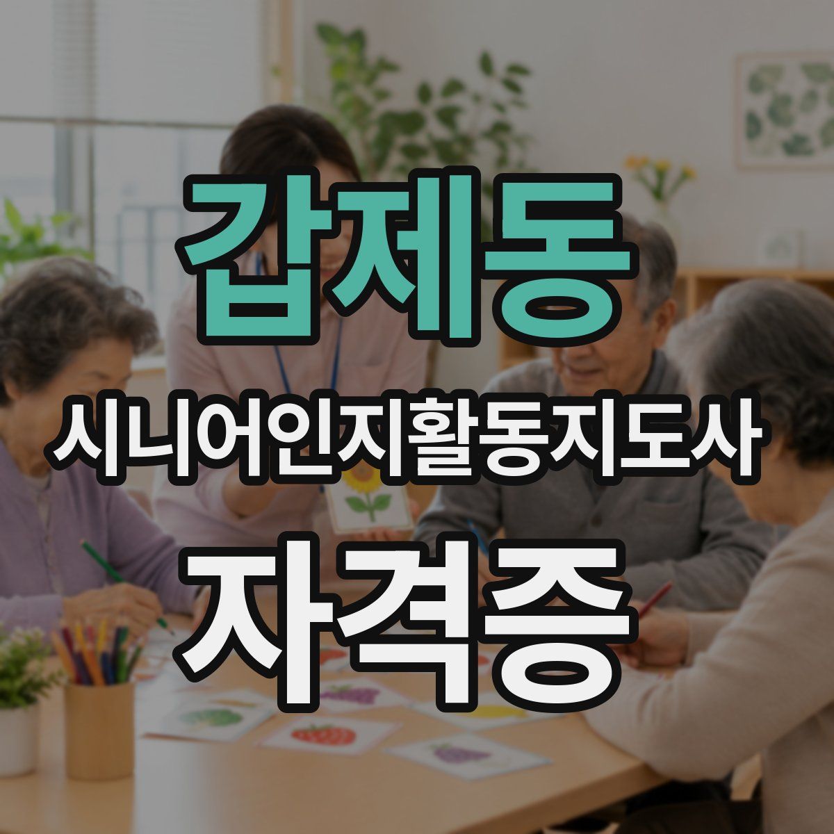 갑제동 시니어인지활동지도사 자격증