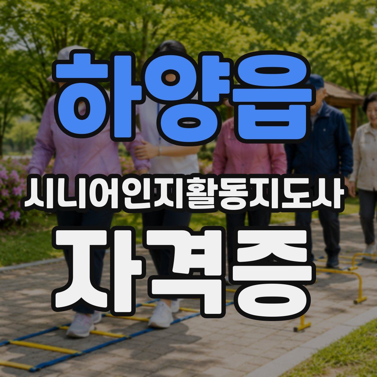 하양읍 시니어인지활동지도사 자격증