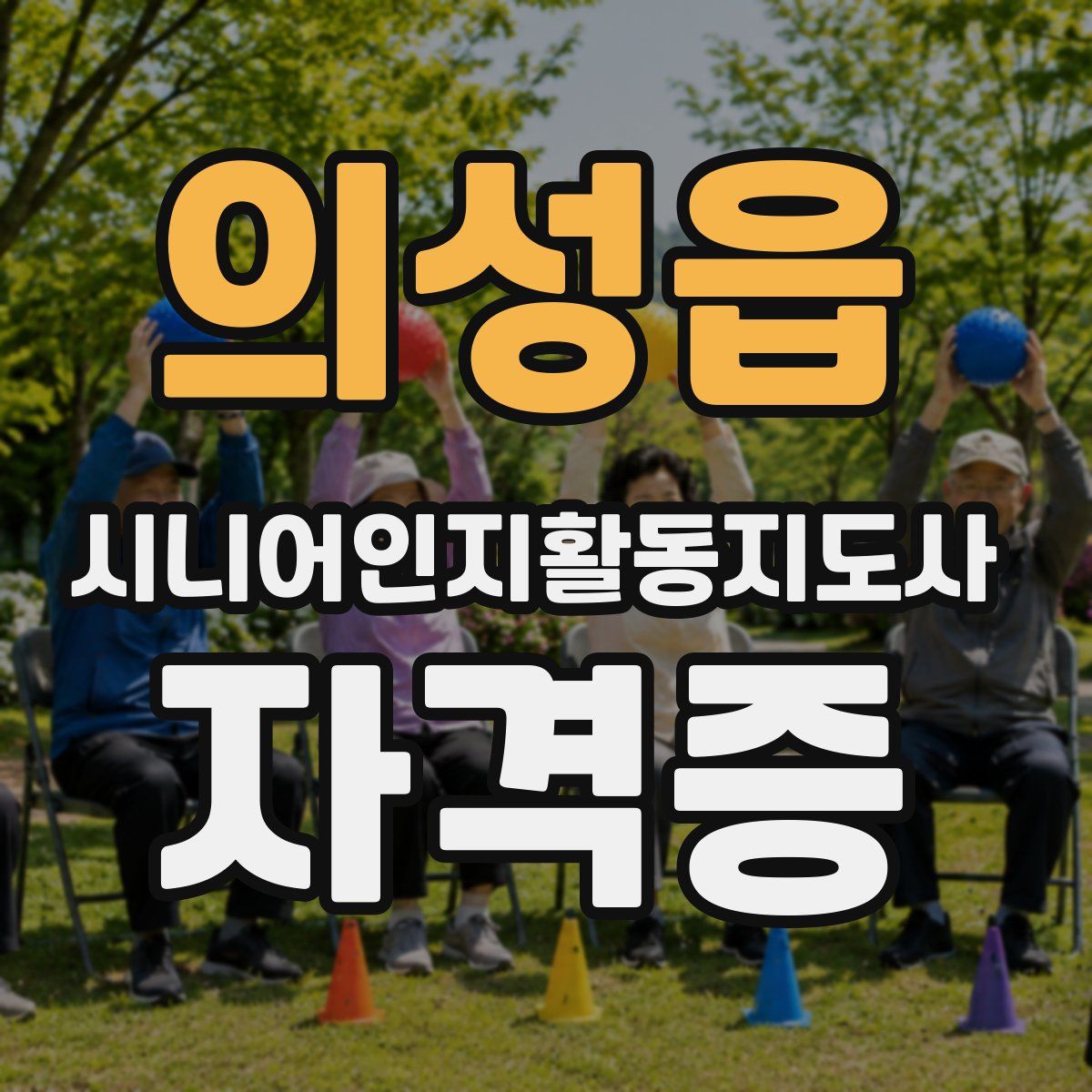 의성읍 시니어인지활동지도사 자격증