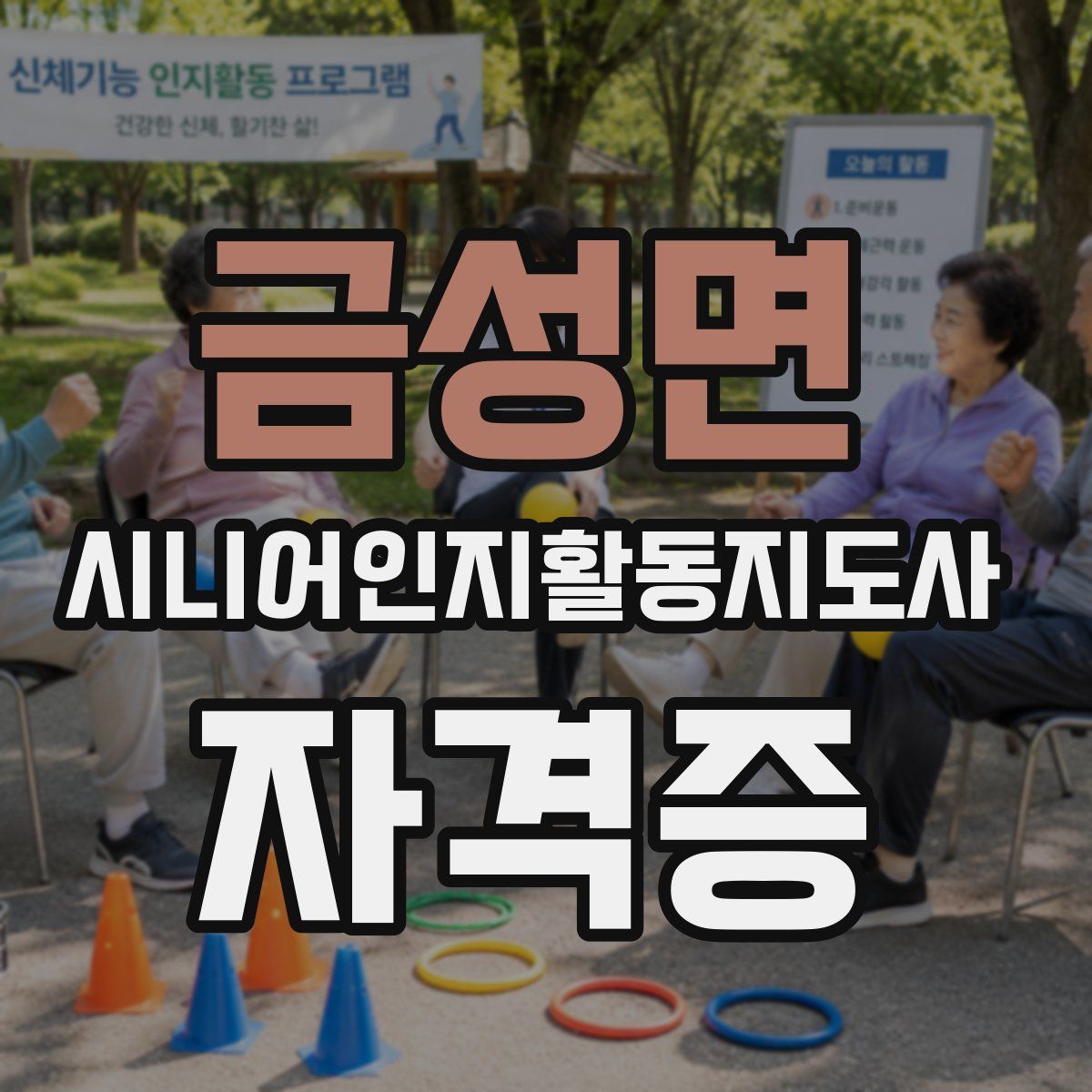 금성면 시니어인지활동지도사 자격증