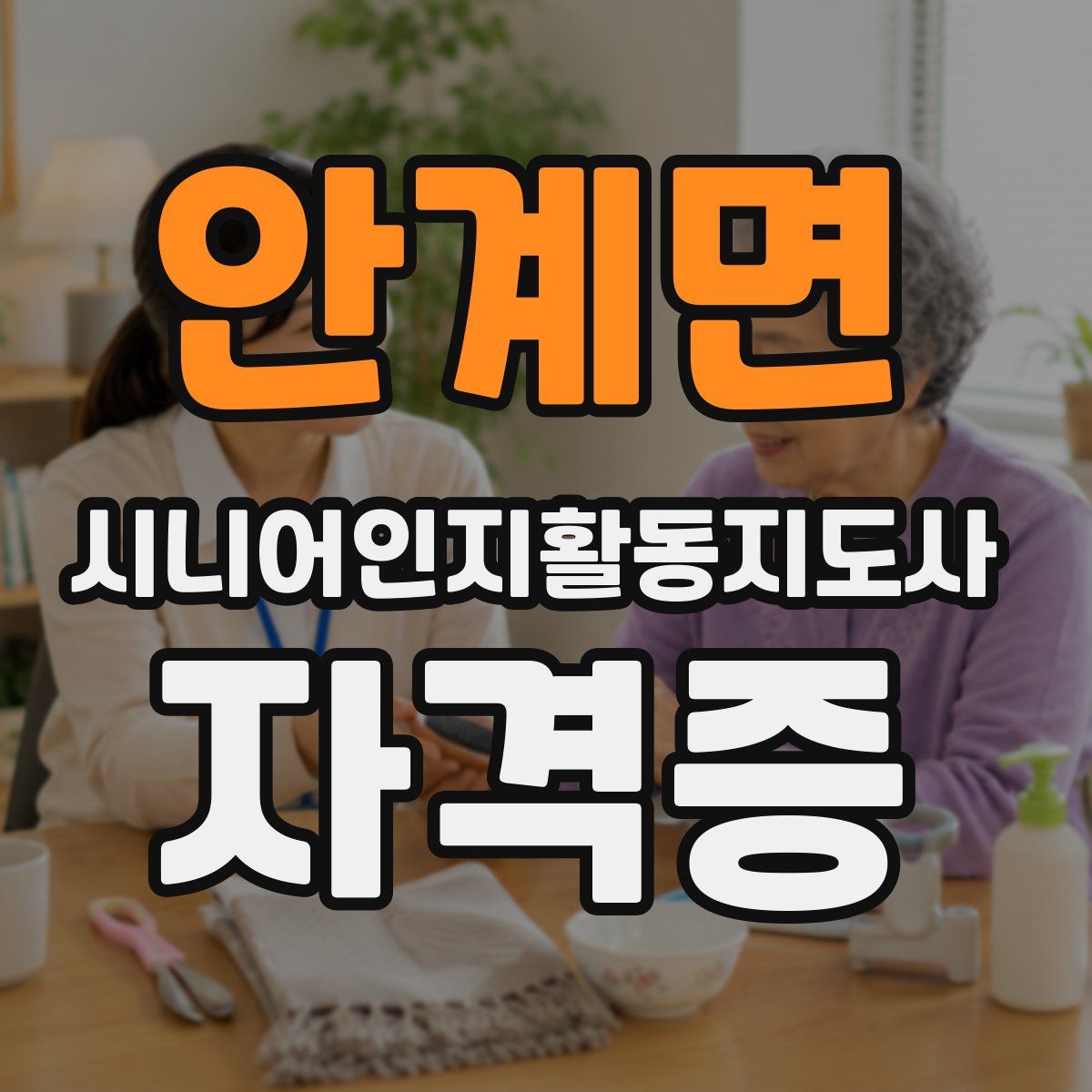 안계면 시니어인지활동지도사 자격증