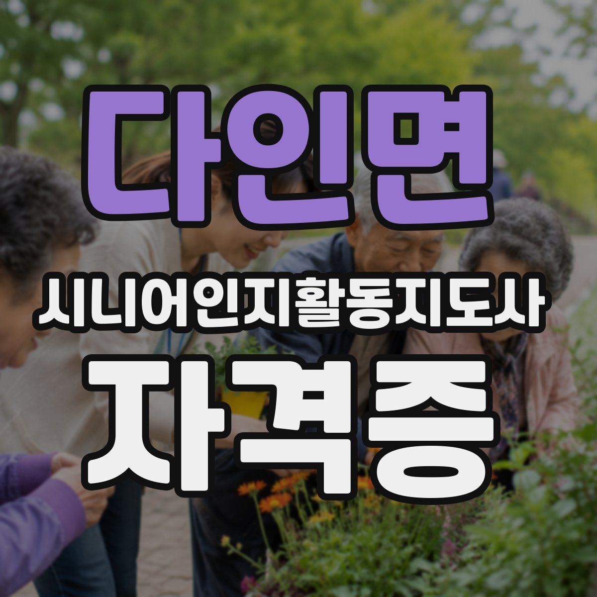 다인면 시니어인지활동지도사 자격증