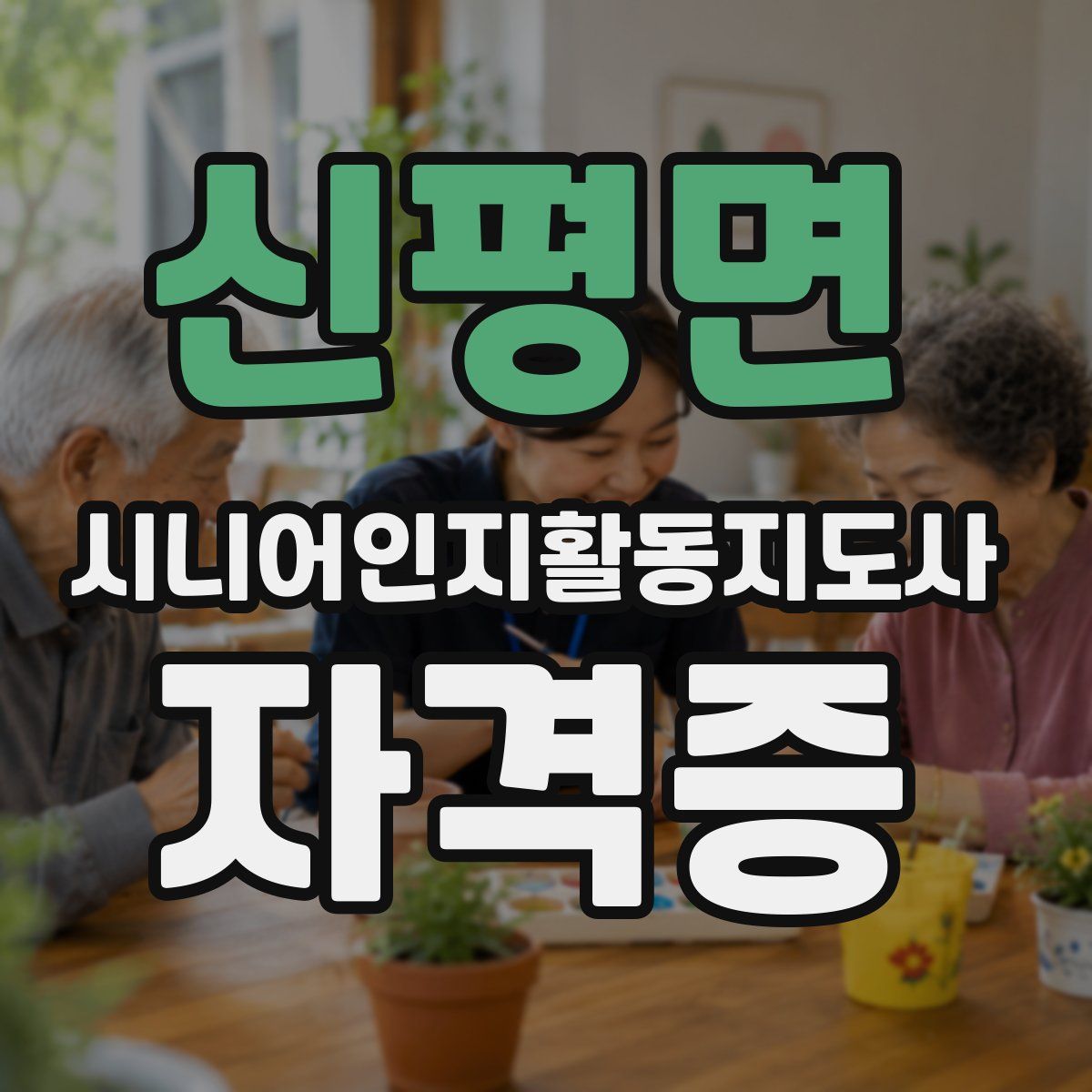 신평면 시니어인지활동지도사 자격증