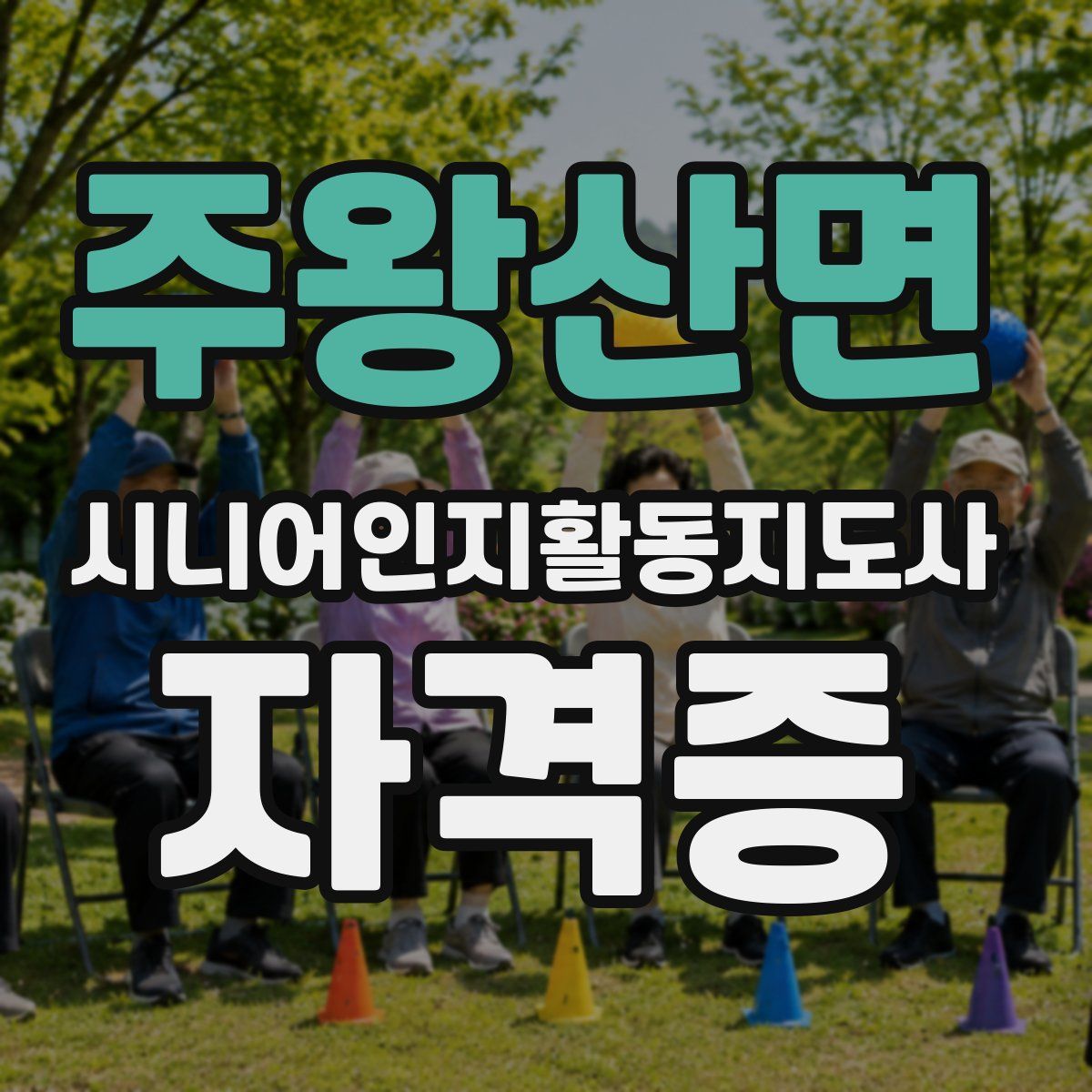 주왕산면 시니어인지활동지도사 자격증