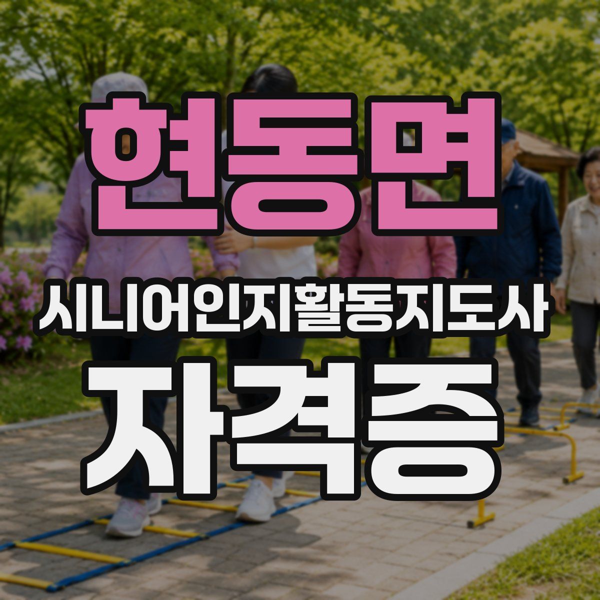 현동면 시니어인지활동지도사 자격증