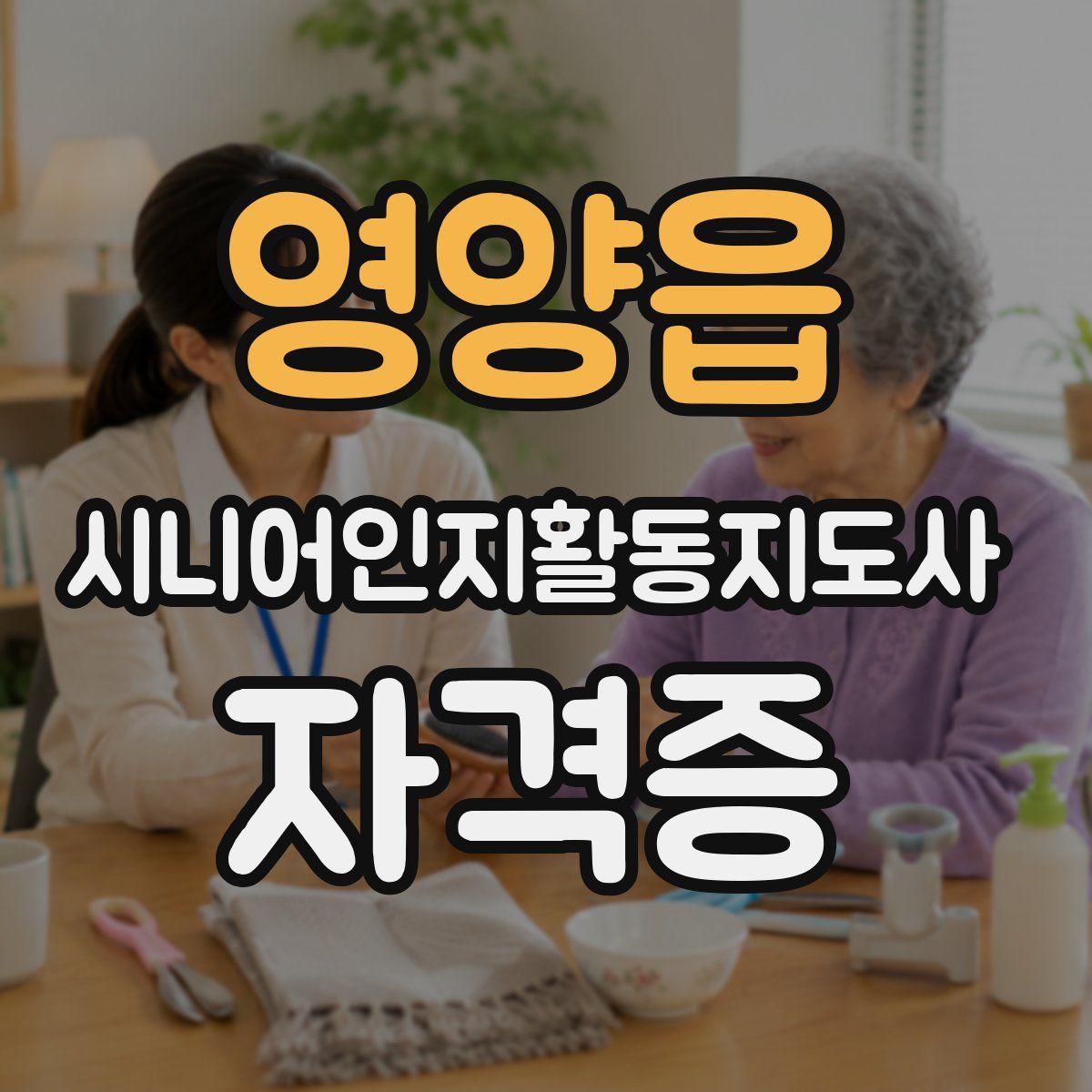영양읍 시니어인지활동지도사 자격증