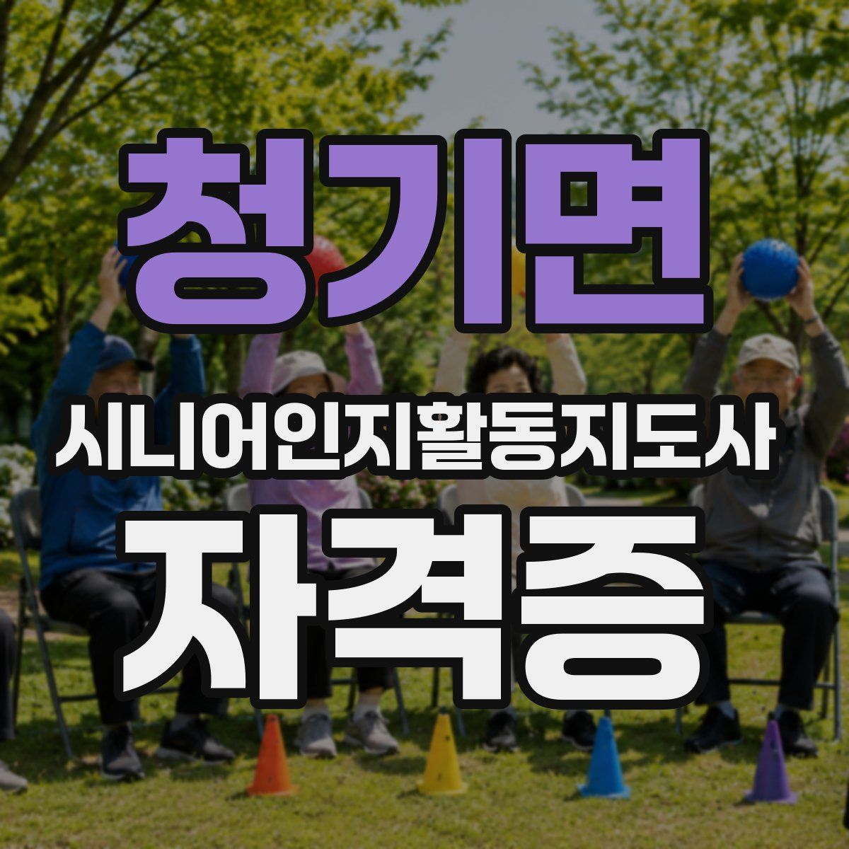 청기면 시니어인지활동지도사 자격증