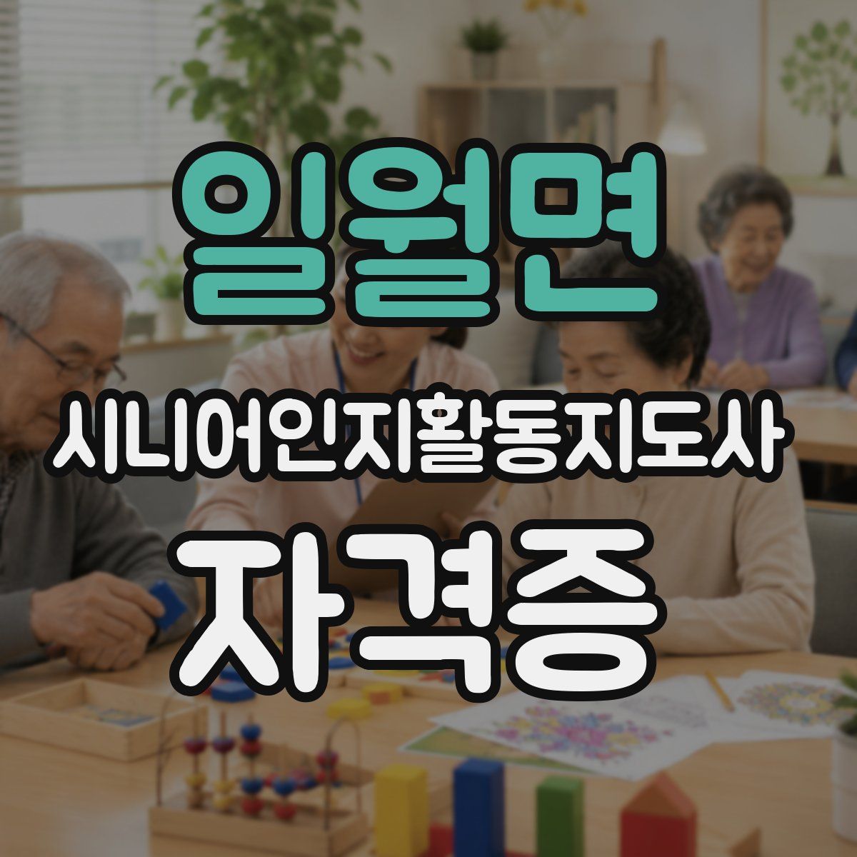 일월면 시니어인지활동지도사 자격증