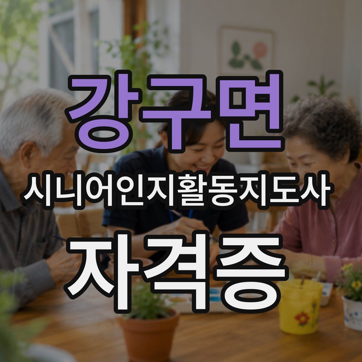 강구면 시니어인지활동지도사 자격증