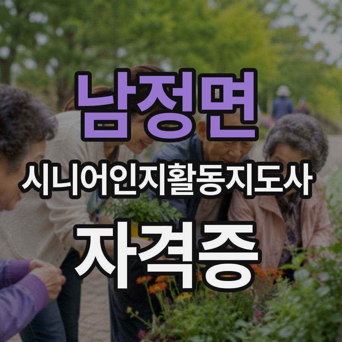 남정면 시니어인지활동지도사 자격증