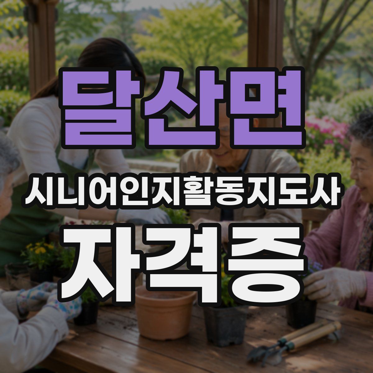 달산면 시니어인지활동지도사 자격증