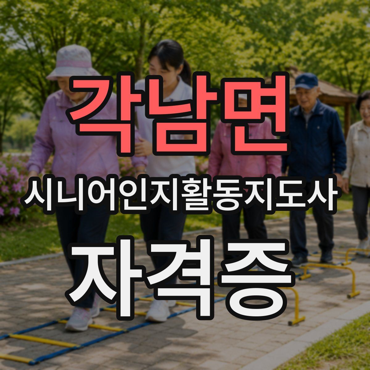각남면 시니어인지활동지도사 자격증