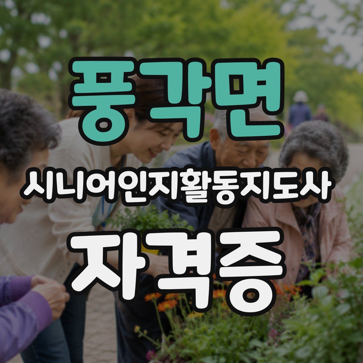 풍각면 시니어인지활동지도사 자격증