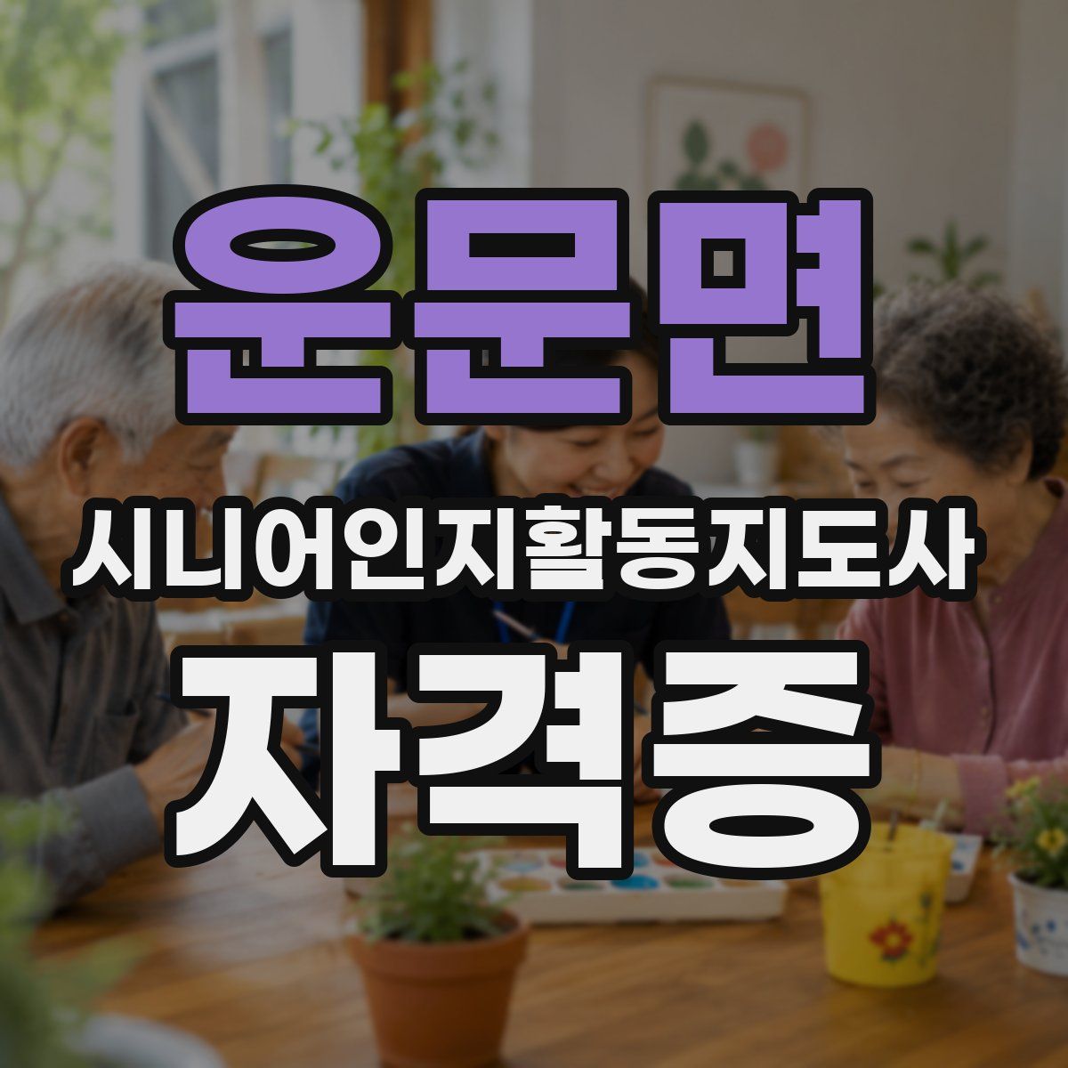 운문면 시니어인지활동지도사 자격증