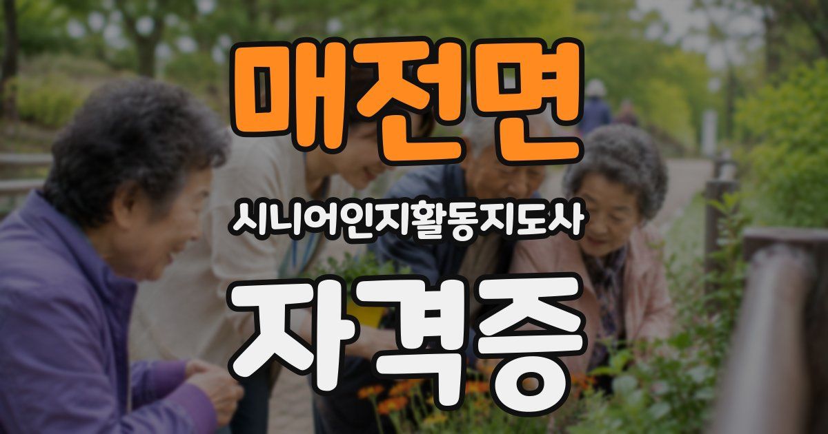 매전면 시니어인지활동지도사 자격증